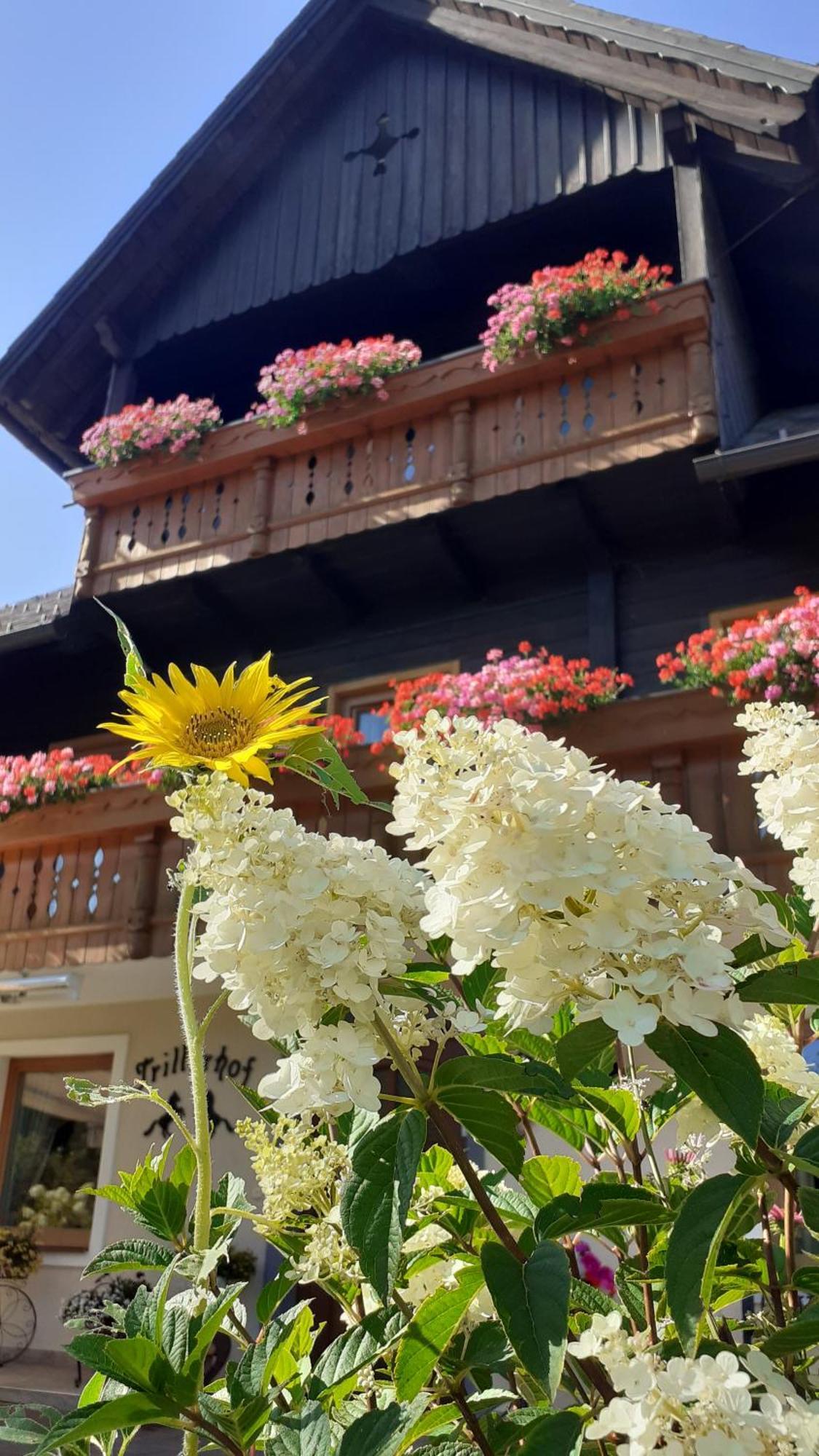 Pension Trillerhof Ramsau am Dachstein Extérieur photo