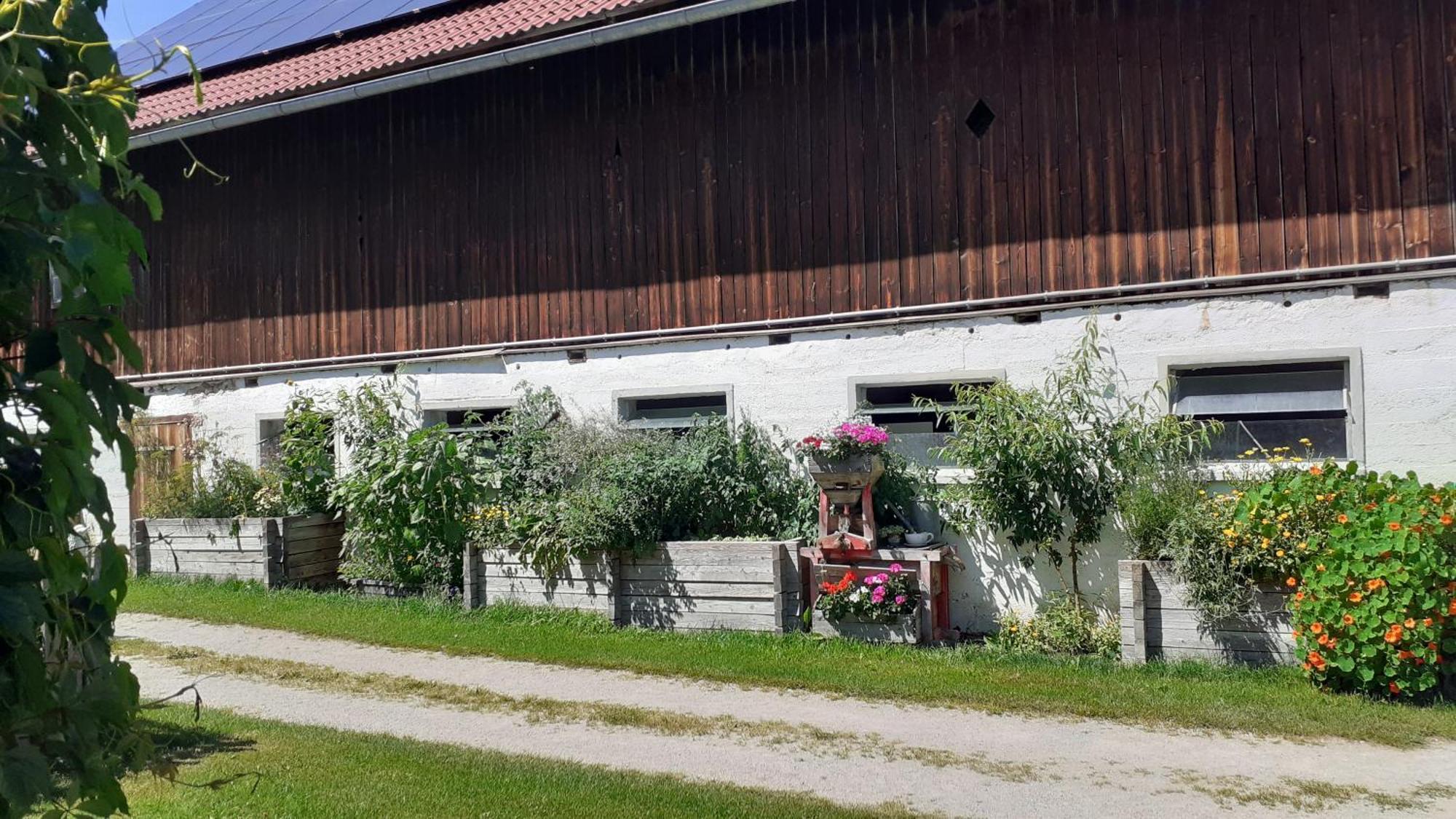 Pension Trillerhof Ramsau am Dachstein Extérieur photo