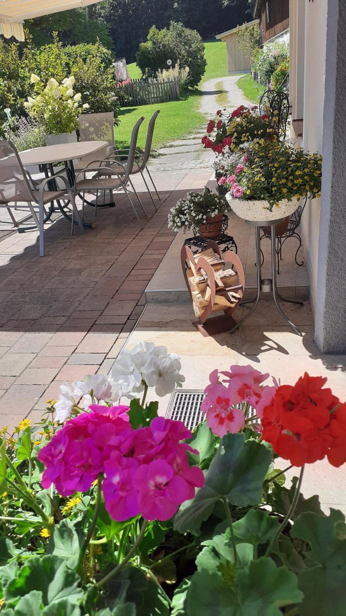 Pension Trillerhof Ramsau am Dachstein Extérieur photo