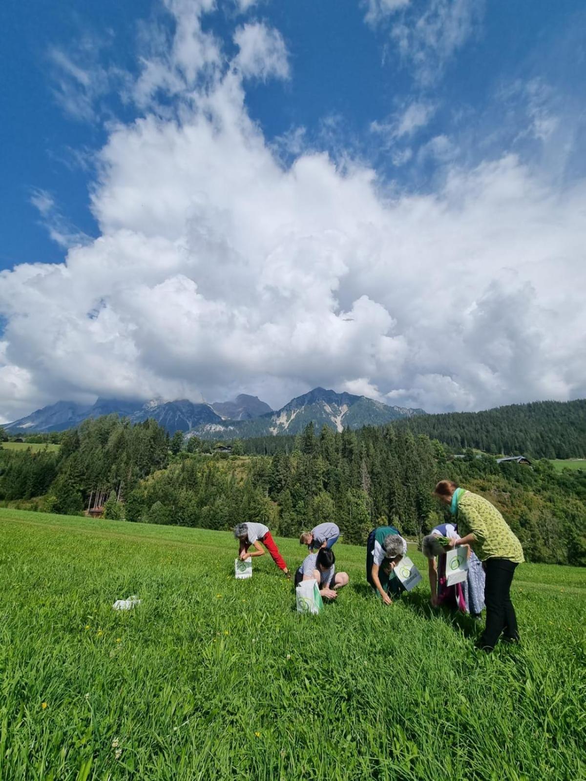 Pension Trillerhof Ramsau am Dachstein Extérieur photo