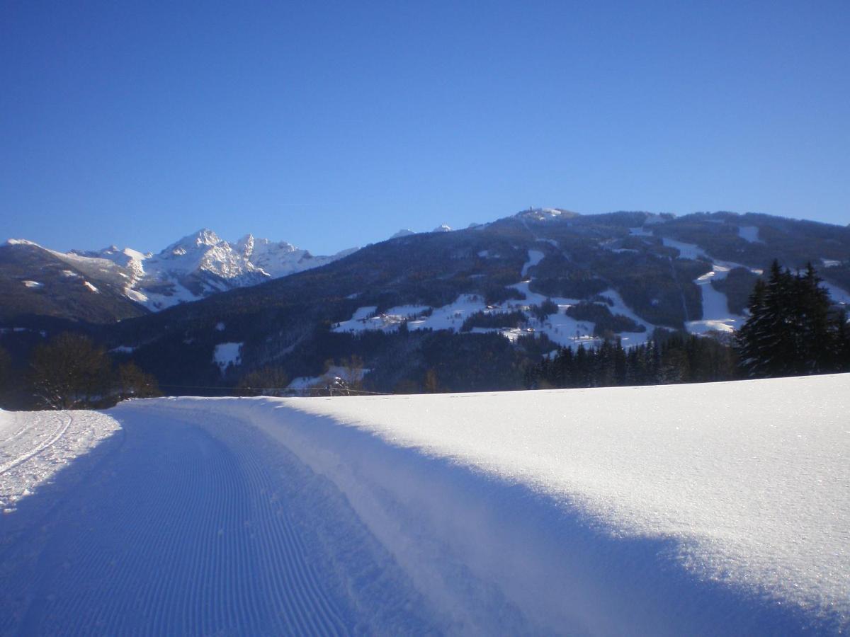 Pension Trillerhof Ramsau am Dachstein Extérieur photo